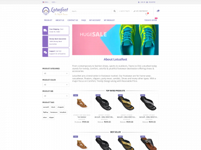 lotusfeet.store snapshot