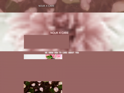nour4care.se snapshot