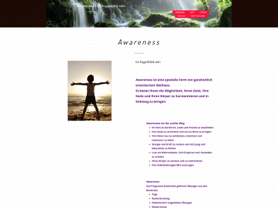 awareness-info.net snapshot