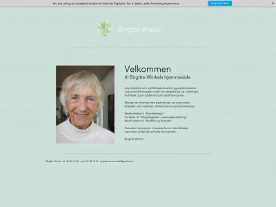 birgittewinkel.dk snapshot