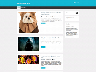 powerpauw.nl snapshot