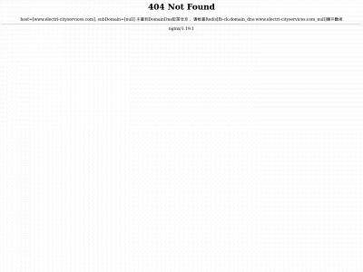 electri-cityservices.com snapshot