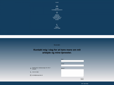 topregnskab.dk snapshot