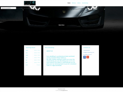 purodetailing.com snapshot