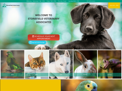 vetcity.com snapshot