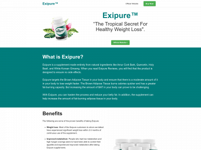 www.thewellnes.com snapshot