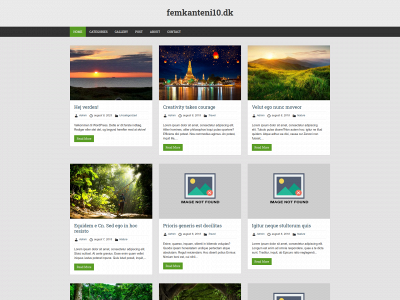 femkanteni10.dk snapshot