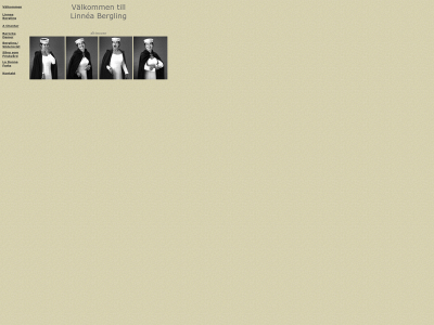 bergling.org snapshot