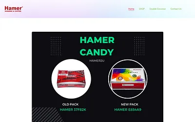hamer2u.co snapshot