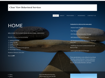 clearviewbehavioralservices.com snapshot