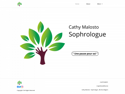 mapetitecatlive.online snapshot