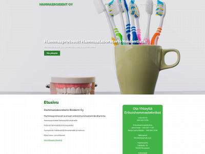 hammasroidentoy.fi snapshot