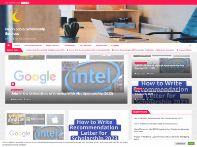moonjobscholarship.com snapshot