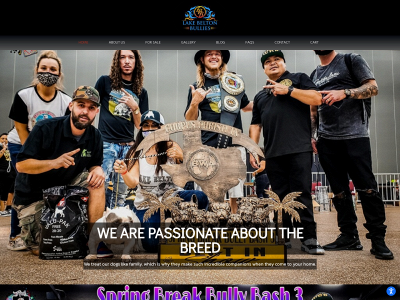 www.lakebeltonbullies.com snapshot