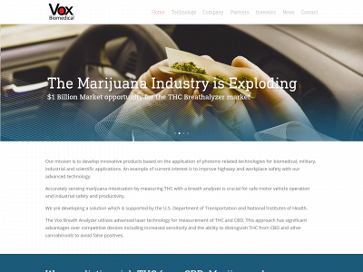 voxbiomedical.com snapshot