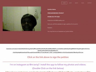 sumn3r1988.weebly.com snapshot