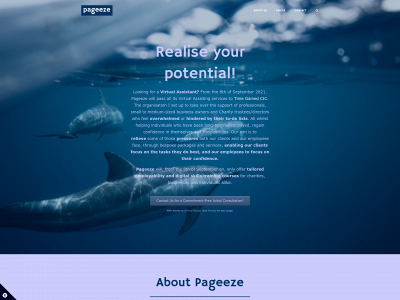 pageeze.com snapshot