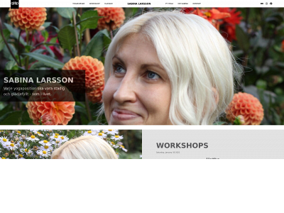 sabinalarssonyoga.com snapshot