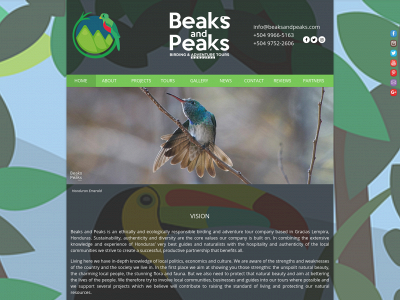 beaksandpeaks.com snapshot