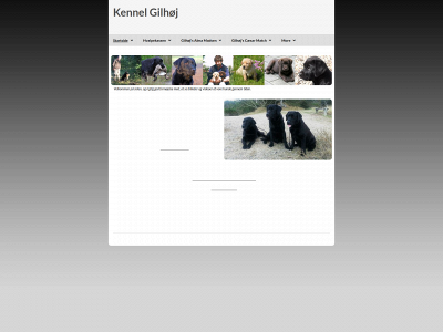 kennel-gilhoej.dk snapshot