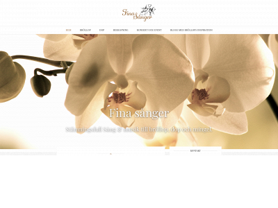 finasanger.se snapshot