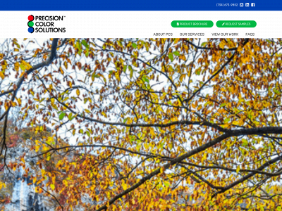 precisioncolorsolutions.net snapshot