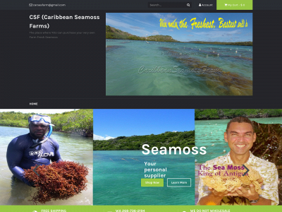 caribbeanseamossfarms.com snapshot