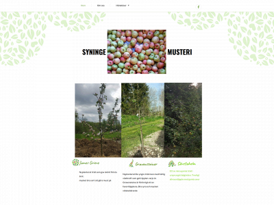 syninge-musteri.se snapshot