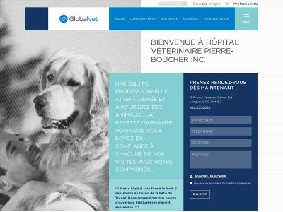 vetlongueuil.ca snapshot