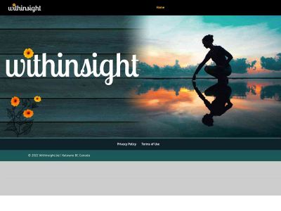 withinsight.biz snapshot