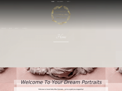 sweetbabyblissportraits.com snapshot