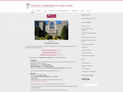 www.cclongisland.org snapshot