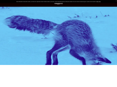 reingefuxxt.de snapshot