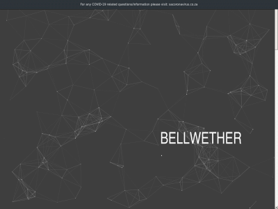 bellwether.co.za snapshot