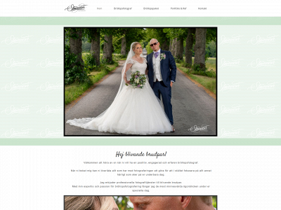 stavegards.se snapshot