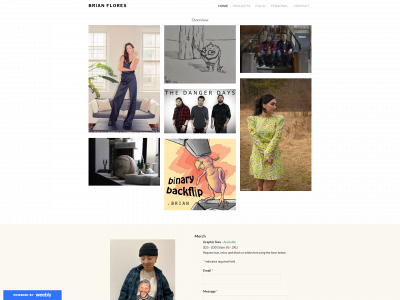 brianfl.weebly.com snapshot
