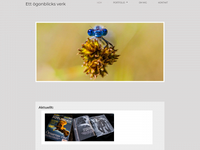 dellefors.com snapshot