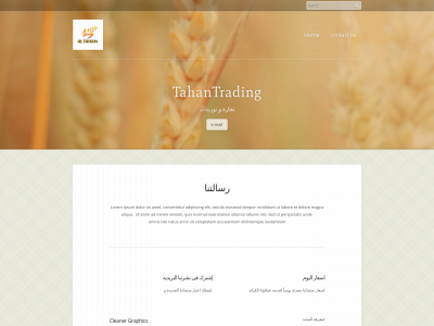 mtahan.weebly.com snapshot