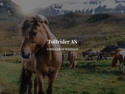 toltrider.no snapshot