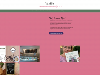 mooiedingenvanilja.nl snapshot