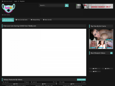 telebj.com snapshot