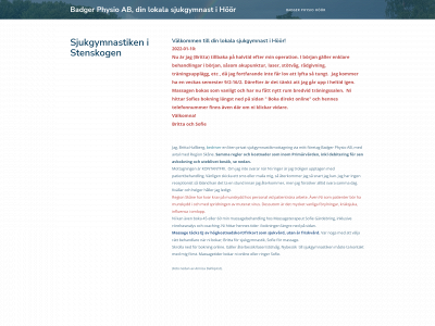 badgerphysioab.com snapshot
