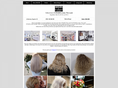 studiothelook.se snapshot