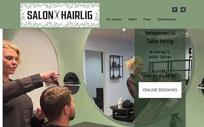 salonhairlig.dk snapshot