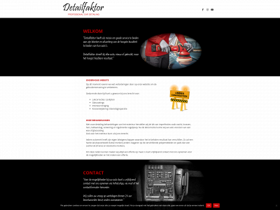 detailfaktor.nl snapshot