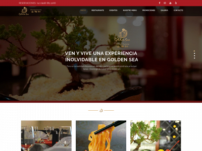 www.goldensea.mx snapshot