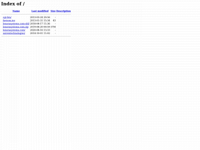 safelinktransport.com snapshot