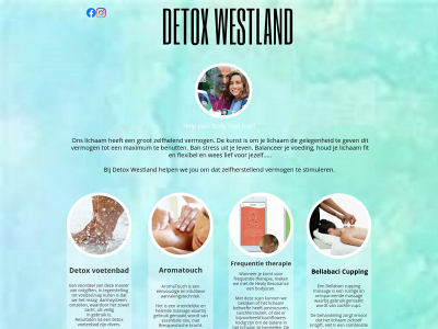 detoxwestland.nl snapshot