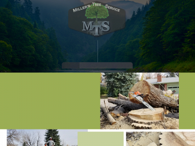 millerstreebiz.com snapshot