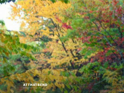 atthatbend.com snapshot